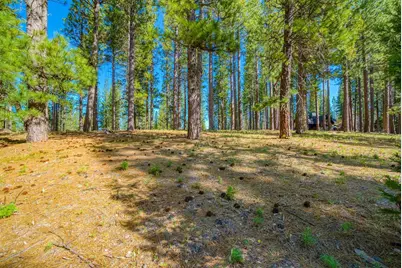 266 Boulder Drive, Clio, CA 96106 - Photo 2