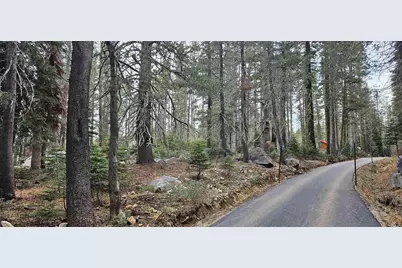 10060 Bunny Hill Road, Soda Springs, CA 95728 - Photo 6