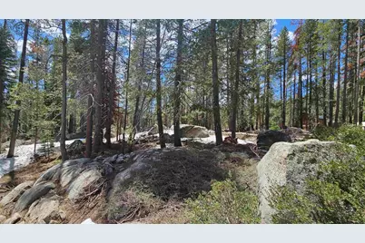 10060 Bunny Hill Road, Soda Springs, CA 95728 - Photo 4