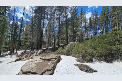 10060 Bunny Hill Road, Soda Springs, CA 95728 - Photo 8