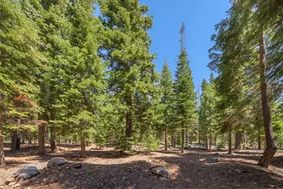 11499 Sitzmark Way, Truckee, CA 96161 - Photo 6