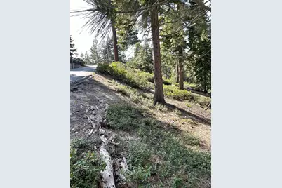 8988 Woodland Drive, Meeks Bay, CA 96142 - Photo 6