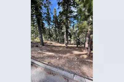 8988 Woodland Drive, Meeks Bay, CA 96142 - Photo 2
