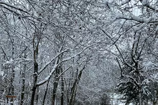 W222N8208 Plainview Pkwy, Lisbon, WI 53089 - Photo 92