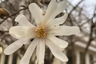 W222N8208 Plainview Pkwy, Lisbon, WI 53089 - Photo 76