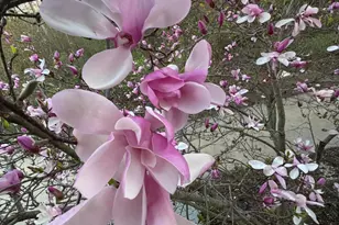 W222N8208 Plainview Pkwy, Lisbon, WI 53089 - Photo 78