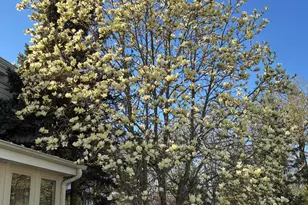 W222N8208 Plainview Pkwy, Lisbon, WI 53089 - Photo 80