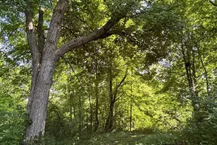 W222N8208 Plainview Pkwy, Lisbon, WI 53089 - Photo 86