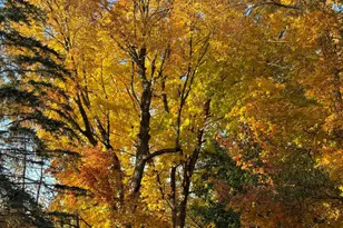 W222N8208 Plainview Pkwy, Lisbon, WI 53089 - Photo 74