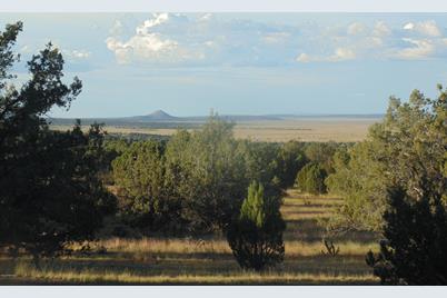 277 Sierra Verde Ranch - Photo 1