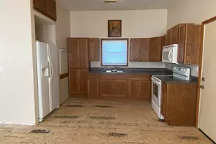 190 Public St, Muddy, IL 62965 - Photo 4