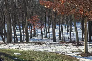 12719 Garden Plain Rd, Morrison, IL 61270 - Photo 14