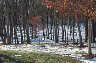 12719 Garden Plain Rd, Morrison, IL 61270 - Photo 14