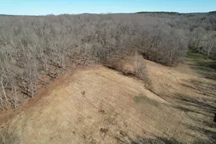 342 Bassett Rd, Elizabethtown, IL 62931 - Photo 60