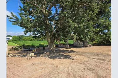 1920 E County Road 2900 Road, Dallas City, IL 62330 - Photo 36