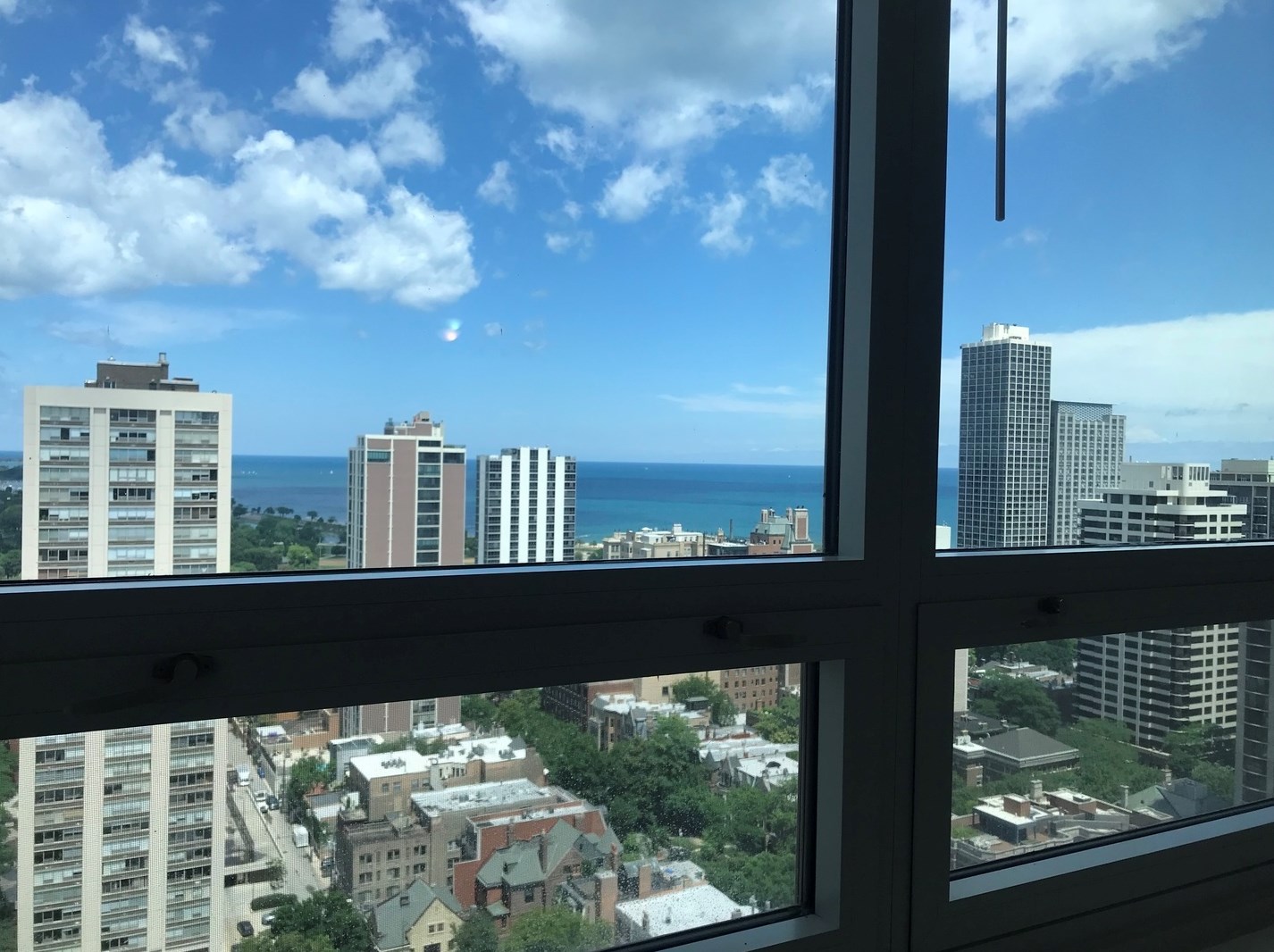 88 W Schiller St Apt 2907, Chicago, IL 60610