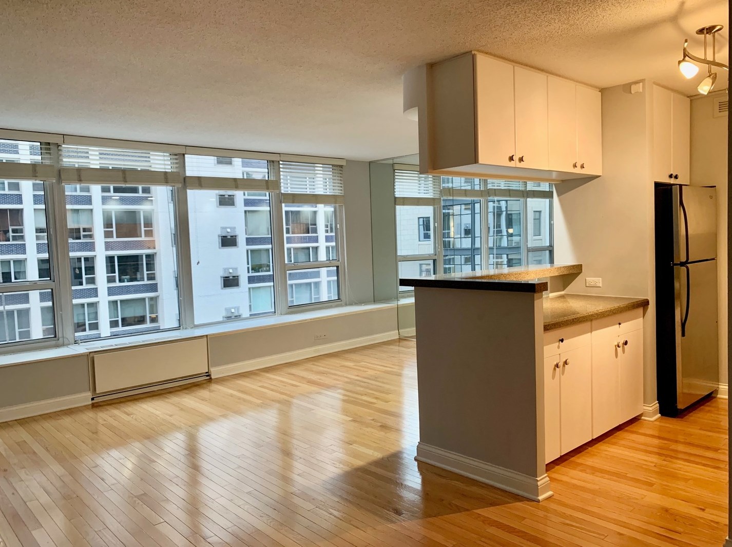 1313 N Ritchie Ct #806, Chicago, IL 60610