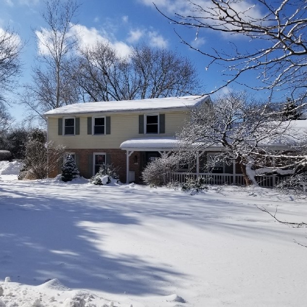 738 Forest Dr, Hoffman Estates, IL 60010-4133