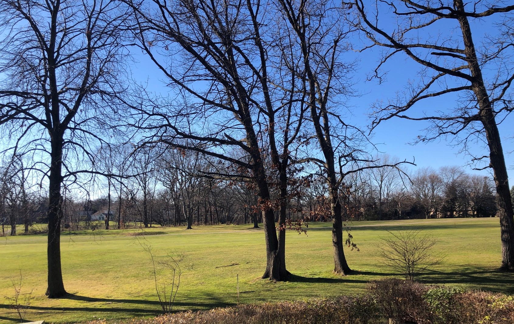 1640 Royal Oak Rd, Oak Brook, IL 60561-5363