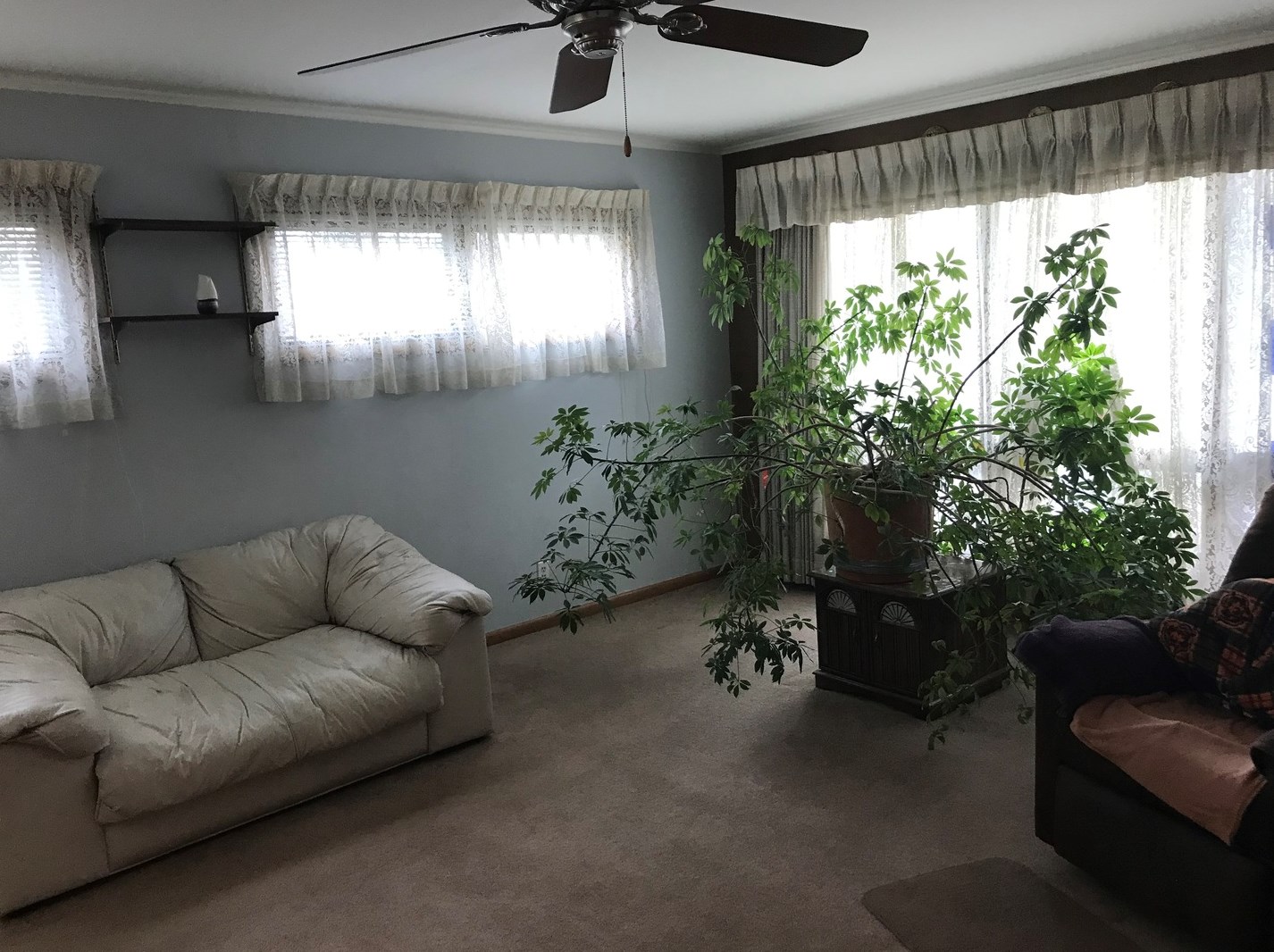 409 View St, Aurora, IL 60506-2971