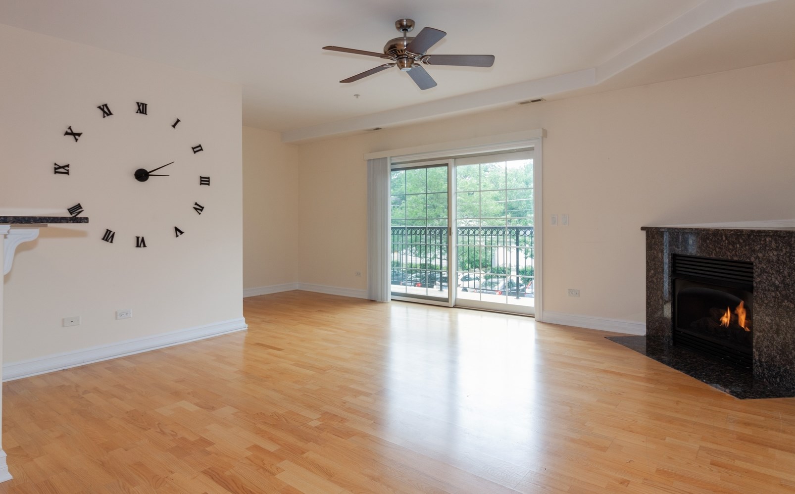 36 S Cass Ave #2d, Westmont, IL