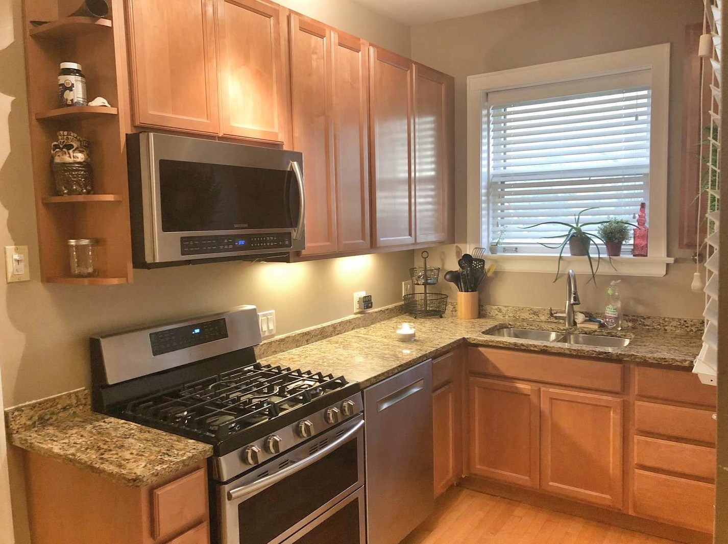 1009 Greenleaf St #1w, Evanston, IL