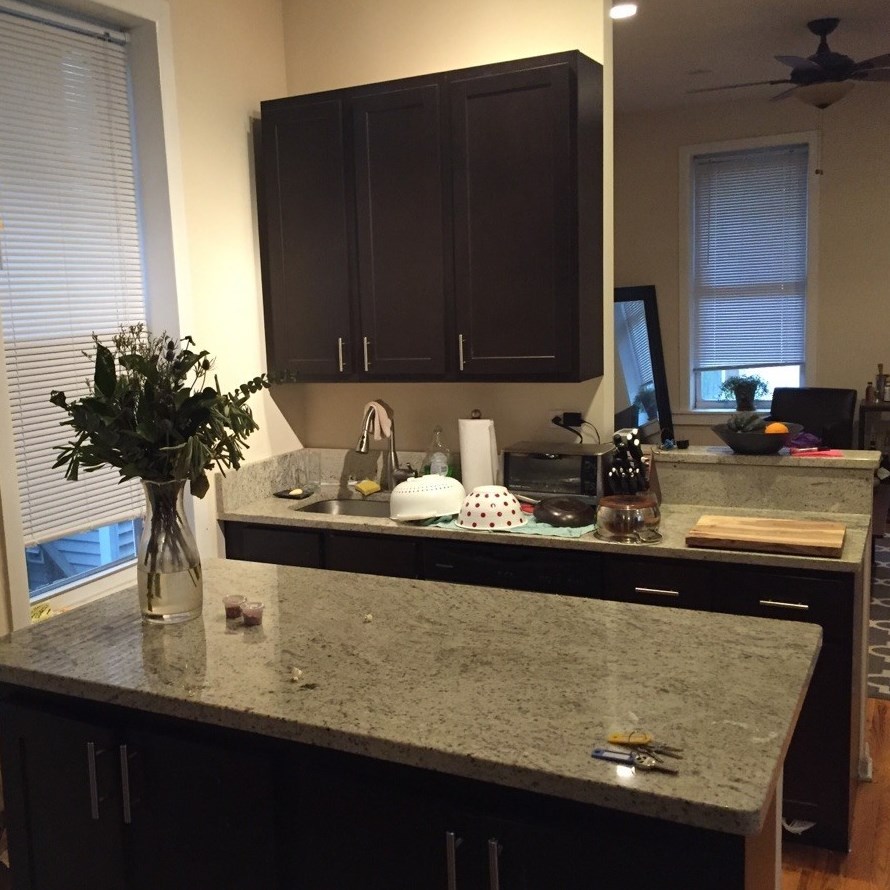 1903 W Dickens Ave Apt 1r, Chicago, IL