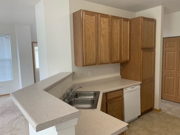 233 Alder Creek Dr, Romeoville IL  60446-5350 exterior