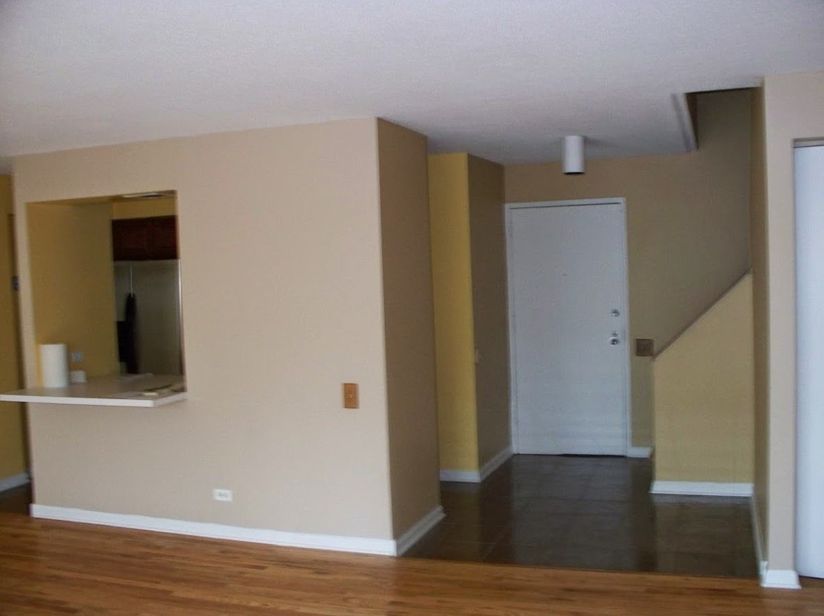 1115 S Plymouth Ct Apt 113, Chicago, IL 60605