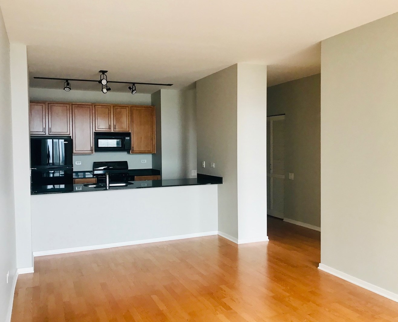 210 S Desplaines St Apt 2005, Chicago, IL 60661