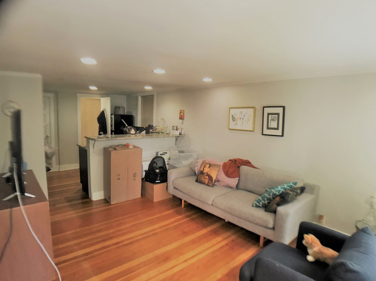 1216 W Barry #g, Chicago, IL 60657