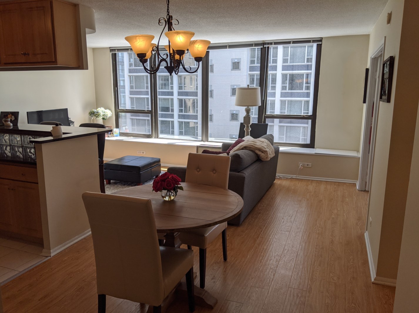 1313 N Ritchie Ct #607, Chicago, IL 60610