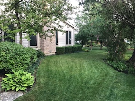 1279 Montclaire Pl, Schaumburg, IL 60173-6553