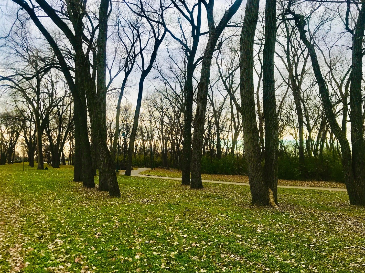 1013 Mcdaniel Ave, Evanston, IL 60202-1038