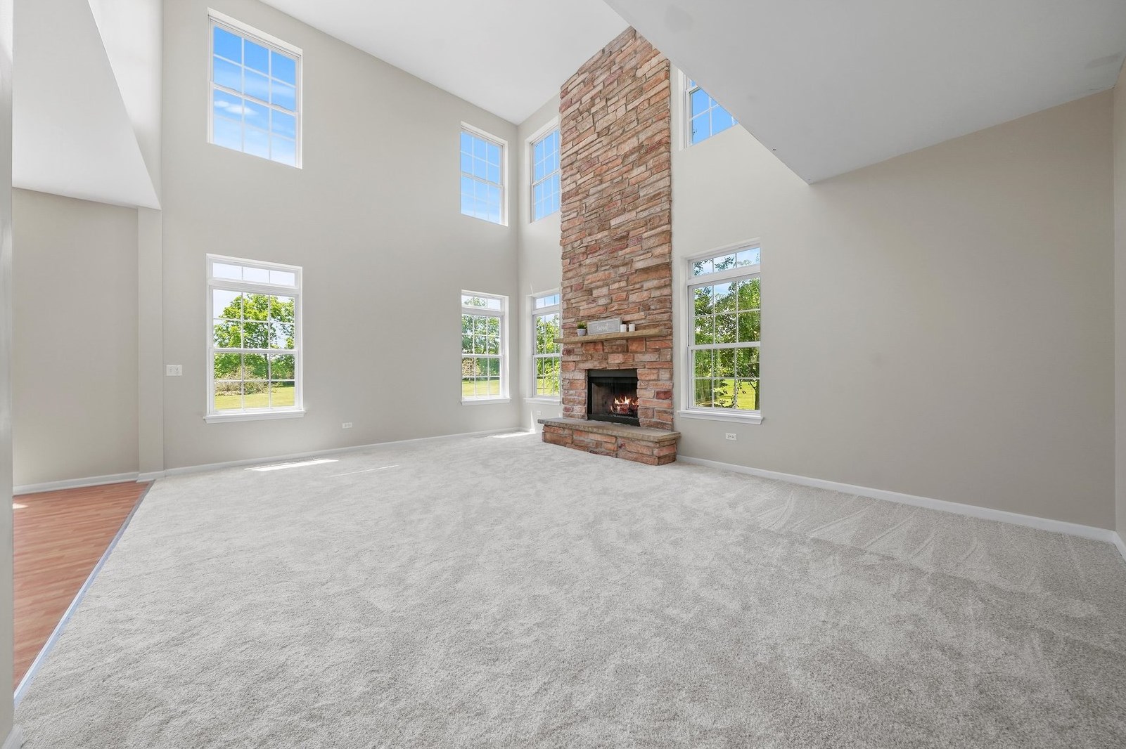 909 Vintage Way, Spring Grove, IL 60081