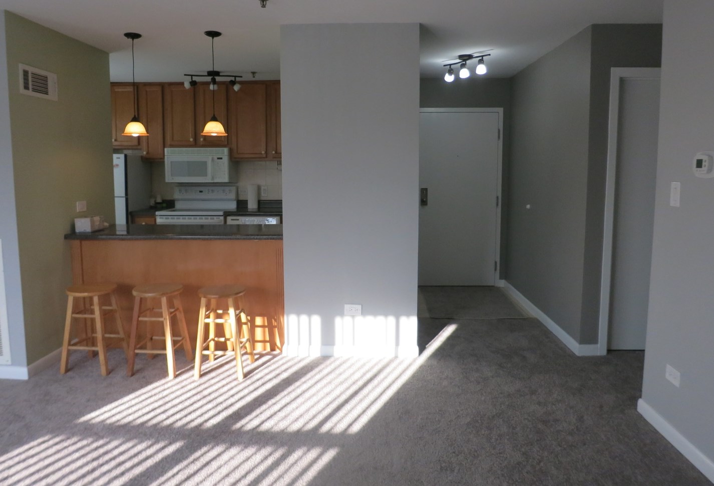 3255 Kirchoff Rd #301, Rolling Meadows, IL 60008