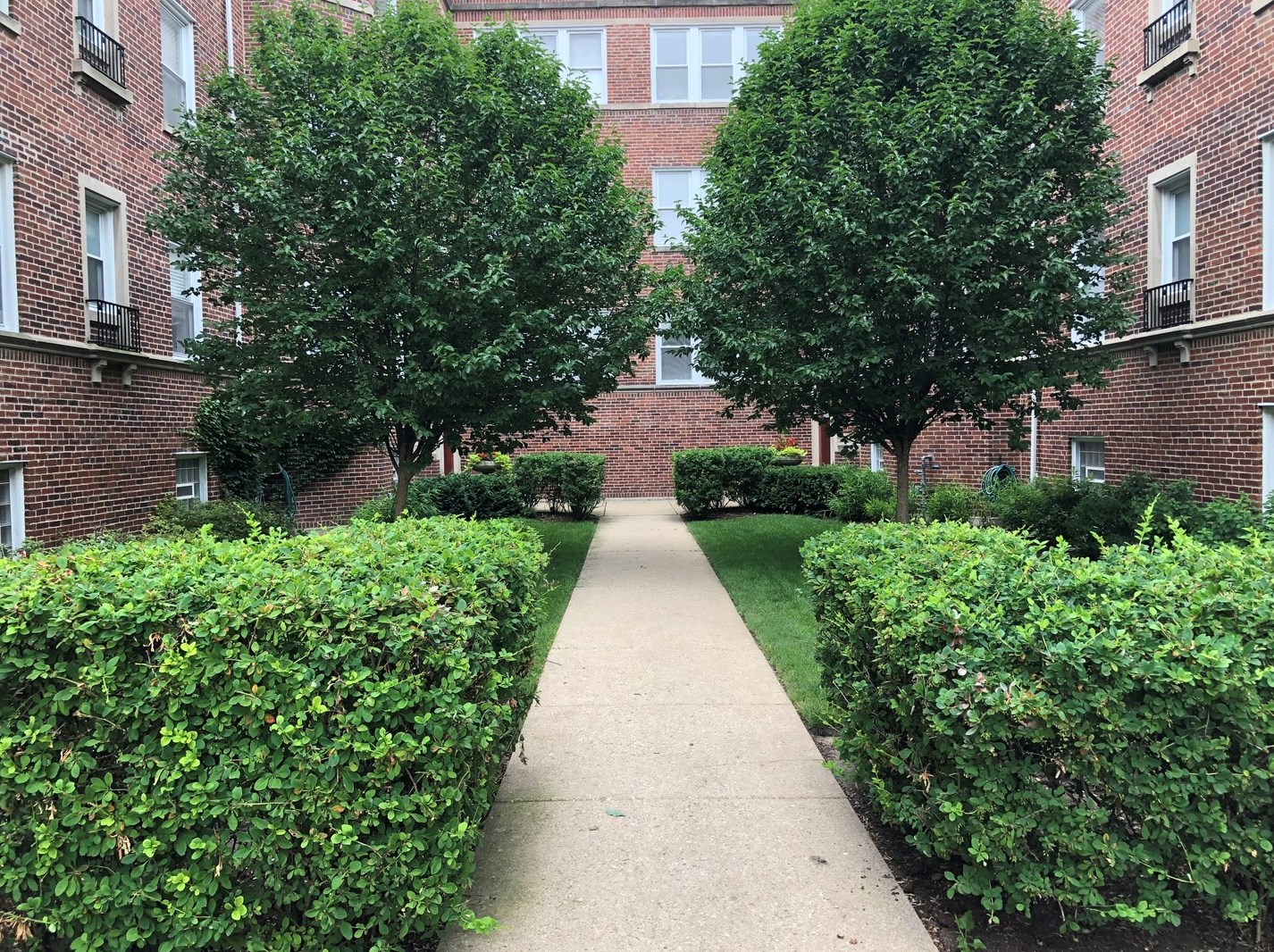 1226 Elmwood Ave Apt 1e, Evanston, IL