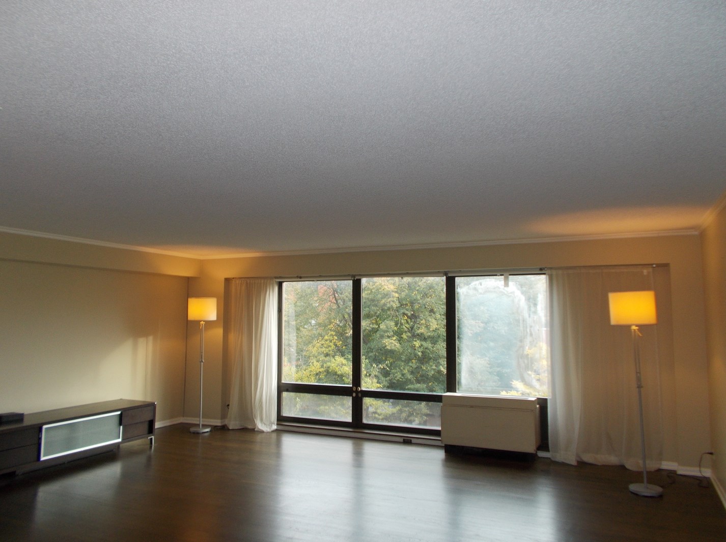 1115 S Plymouth Ct Apt 405, Chicago, IL 60605
