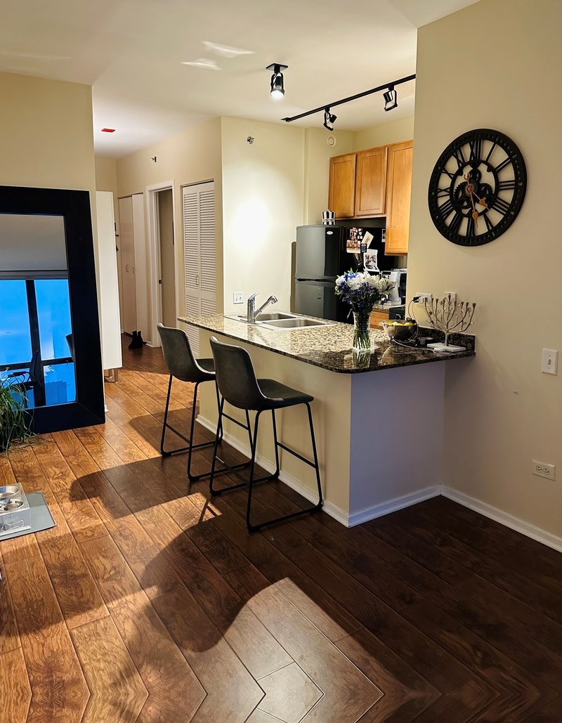210 S Desplaines St Apt 1406, Chicago, IL 60661