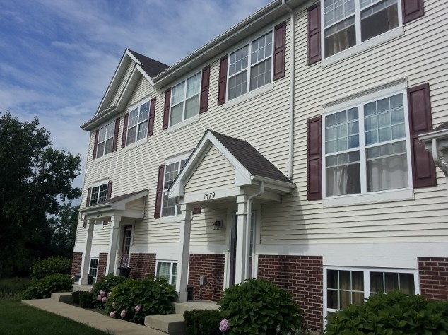 1579 W Turtle Creek Ln #1579, Volo, IL 60073