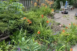 [Address not provided], Wheaton, IL 60187 - Photo 54