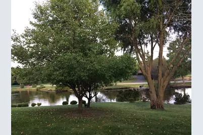 4 Windsor Court, South Barrington, IL 60010 - Photo 50
