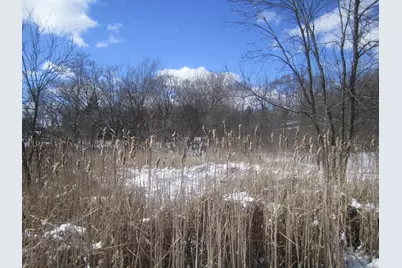 27W0S Roosevelt Road, Winfield, IL 60190 - Photo 4