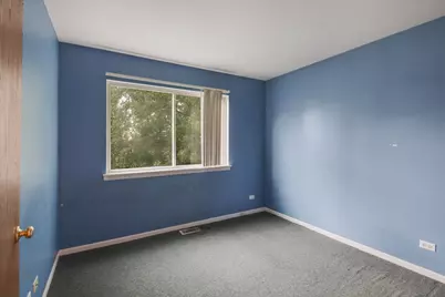 42 W Dahlia Lane, Round Lake Beach, IL 60073 - Photo 4