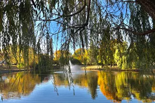 [Address not provided], Bloomingdale, IL 60108 - Photo 76