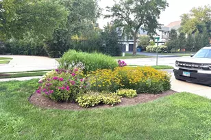 5702 S Park Ave, Hinsdale, IL 60521 - Photo 4