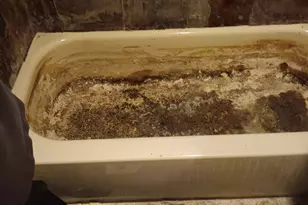 1436 S Karlov Ave, Chicago, IL 60623 - Photo 18