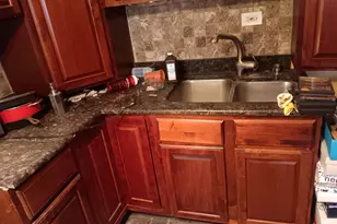 1436 S Karlov Ave, Chicago, IL 60623 - Photo 14