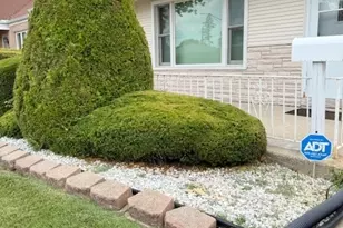 1429 N Wolf Rd, Berkeley, IL 60163 - Photo 2