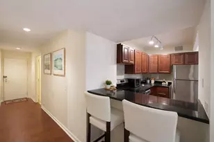 260 E Chestnut St, Chicago, IL 60611 - Photo 6